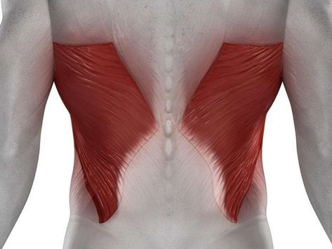 Sore Latissimus Dorsi, Mid Back Muscle Spasm Relief, How To Stretch Middle Back, Stretching Latissimus Dorsi, Stretch Middle Back, Upper Back Tightness Relief, Lat Stretches Muscle, Muscle Spasm Relief Back, Strained Back Muscle Relief