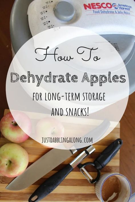 How Long To Dehydrate Apples, Dehydrated Apple Slices In Dehydrator, Dehydrate Apples In Dehydrator, Dehydrated Apple Slices, How To Dehydrate Apples, Dehydrated Apples Recipe, Dehydrate Apples, Dehydrating Apples, Dehydrator Ideas