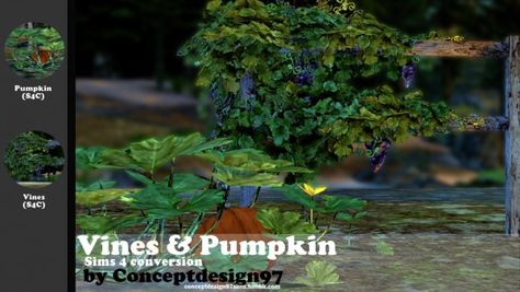 Simsworkshop: Vines & Pumpkin 1.0  Plants Set  by ConceptDesign97 • Sims 4 Downloads Plants Vines, 6 Elements, Planting Pumpkins, Sims 4 Studio, Sims 4 Downloads, Sims 4 Update, Sims 4 Cc, Organic Gardening, Vegetable Garden