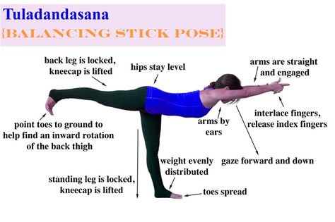 Yoga: how to do Tuladandasana (Balancing Stick Pose ~ Warrior 3).  Start in this pose and then slowwwwwwwly lower the back leg down to high lunge - great for core strength! Sphinx Pose, Warrior 3, Beginner Yoga, Yoga Iyengar, Yoga Moves, Bikram Yoga, Yoga Help, Pose Yoga, Types Of Yoga