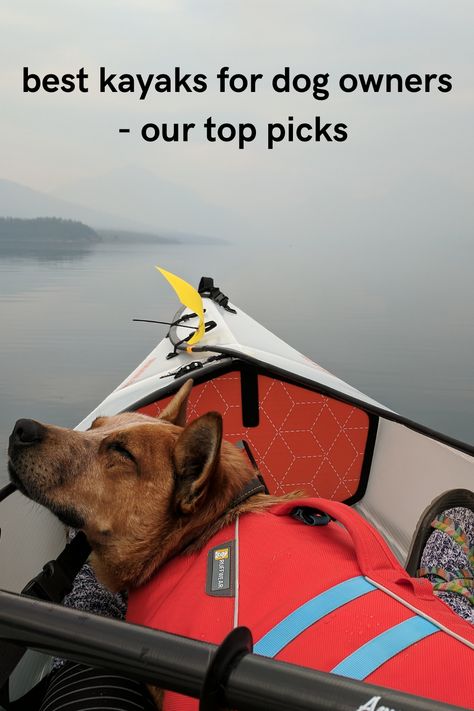 Kayaking Quotes, Kayaking With Dogs, Sporty Dog, Ocean Kayak, Beautiful Dogs Photos, Recreational Kayak, Tandem Kayaking, Inflatable Kayak, Kayak Trip