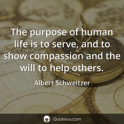 Humanity Quotes Helping Others, Solidarity Quotes, Albert Schweitzer Quotes, Compassion Quotes, Humanity Quotes, Serve Others, Albert Schweitzer, 21st Quotes, Language Quotes