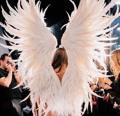 Vs Backstage, Victoria Secret Wings, Victoria's Secret Aesthetic, Victoria Secret Angel Wings, Angel Halloween, Victoria Secret Angel, Victoria's Secrets, Victoria Secret Model, Model Off Duty