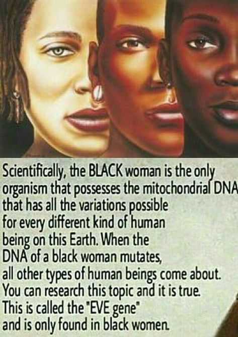 The Eve Gene, African American History Facts, Black Fact, Historia Universal, Black Knowledge, History Education, Women's Rights, Historical Facts, African History