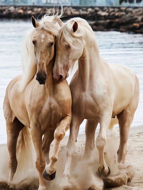 Two Horses In Love, Horses In Love, Horse Base, White Horse Photography, Beautiful Horses Photography, Cutee Animals, Horse Aesthetic, Two Horses, Most Beautiful Horses