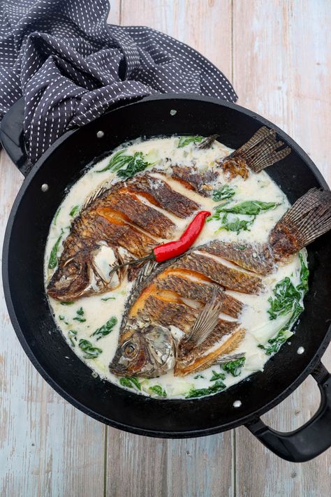 Ginataang Pritong Tilapia - Exploring the rich flavours of Filipino cuisine with a dish that’s crispy, creamy, and oh-so-satisfying. Who can resist this comfort food delight? 🍽️ #FlavorsOfHome #FilipinoFood. Dive into the world of Filipino cuisine with Ginataang Pritong Tilapia, a flavourful dish featuring crispy fried tilapia in a creamy coconut milk sauce. If... Ginataang Tilapia Recipe, Fish In Coconut Milk, Fried Tilapia Recipes, Coconut Milk Sauce, Fried Tilapia, Asian Noodle Dishes, Wok Recipes, Asian Side Dishes, Mongolian Beef Recipes