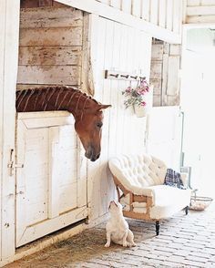 Horse Stables Design, Horse And Dog, Dream Stables, Dream Horse Barns, The Stables, Dreamy Whites, Stables Design, Barn Plans, Dream Barn