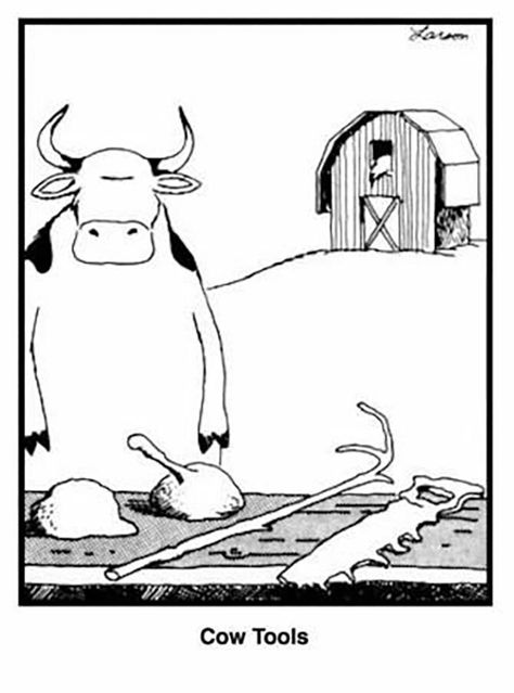 The Far Sides, Cow Tools, Gary Larson Comics, Gary Larson Cartoons, The Agonist, Far Side Cartoons, Far Side Comics, Gary Larson, Cartoon Cow