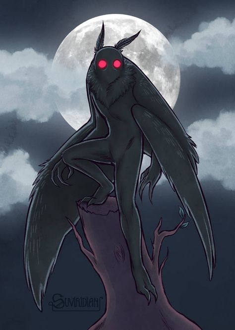 Um criptídeo, o MothMan, e rei das noites... chupa, Batman Rabbit Anatomy, Drawing Monsters, Imaginary Creatures, Helloween Wallpaper, Myths & Monsters, The Circle Of Life, Watership Down, Currently Reading, Creature Drawings