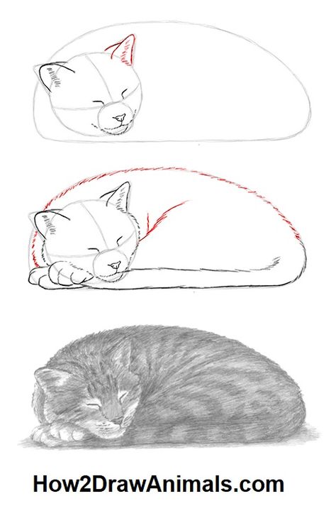 Learn how to draw a sleeping cat in graphite pencil #catdrawings #catart #howtodrawcats #how2drawanimals #graphitepencils Draw A Sleeping Cat, Cat Drawing Tutorial, Cats Art Drawing, Painted Rock Animals, Wallpaper Retro, Cat Sketch, Rock Painting Designs, Pencil Art Drawings, Cat Eyes