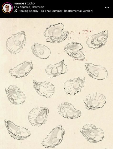 Junonia Shell Tattoo, Oyster Shell With Pearl Tattoo, Fine Line Oyster Tattoo, Pearl In Clam Tattoo, Clam Tattoo Pearl, Clam And Pearl Tattoo, Oyster Tattoo Pearl, Clamshell Tattoo, Oyster Sketch