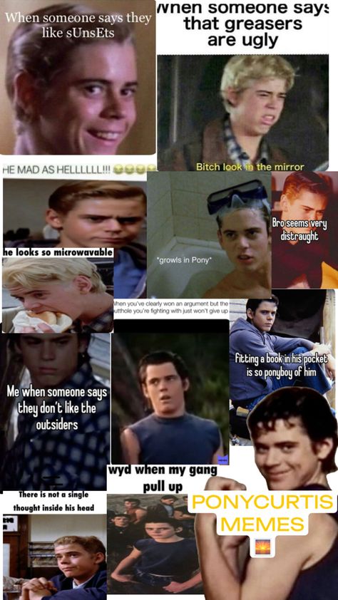 Ponyboy Curtis-The Outsiders funny pics collage Outsiders Funny, The Outsiders Ponyboy, Head Memes, Ponyboy Curtis, The Outsiders Greasers, The Outsiders 1983, Farm Boys, Look In The Mirror, Funny Pics