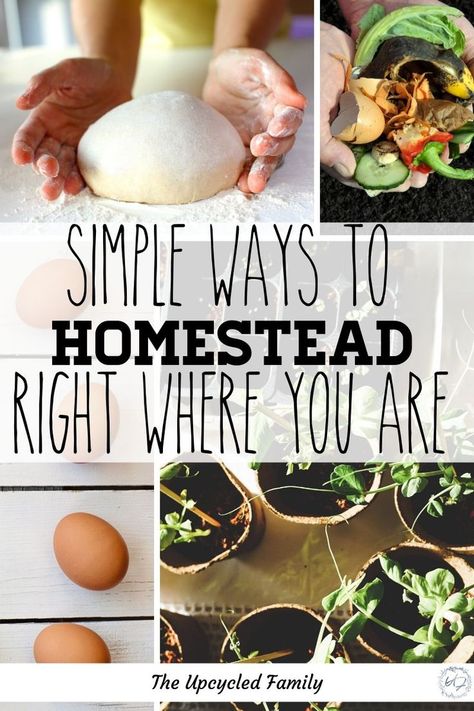 How To Start Homesteading Slowly, Tiny Homestead, Homesteading Life, Weekly Savings, Dream Homestead, Garden Critters, Living Simple, Homestead Life, Homesteading Ideas