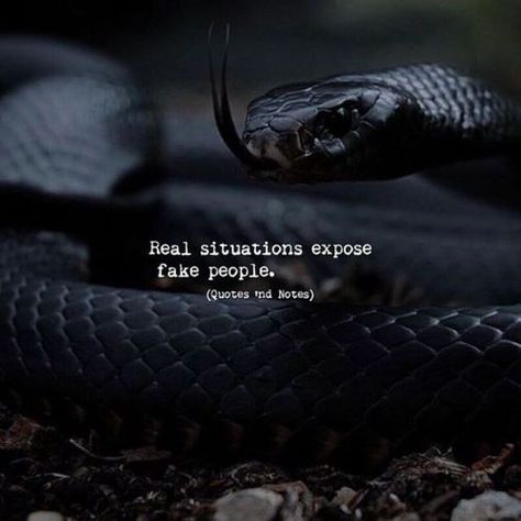 Real situations expose fake people. —via http://ift.tt/2eY7hg4 Fake People Status, Snake Quotes, Fake Friend Quotes, Fake People Quotes, World Quotes, Fake People, Education Humor, Black Snake, Quotes And Notes