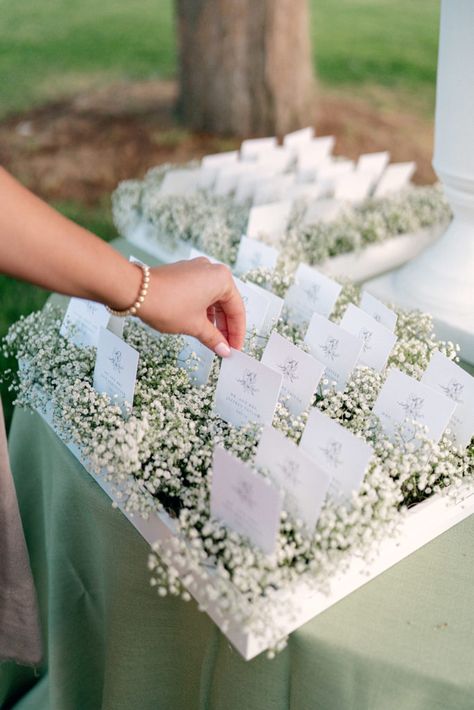 Runway Aisle Wedding, Wedding Decorations Gipsofila, Elegant Vintage Wedding, Seat Chart Wedding Ideas, Babies Breath Wedding Decor, Baby’s Breath Wedding Decor, Baby Breath Wedding Decor, Baby's Breath Wedding, Baby Breath Wedding