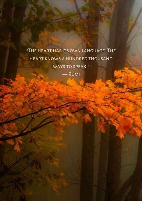 Rumi - the heart has its own language. The heart knows a hundred thousand ways to speak #mindfulness #awakening #consciousness #personaldevelopment The Heart Knows, Live Intentionally, Rumi Poem, Rumi Poetry, Rumi Love Quotes, Sufi Mystic, Rumi Love, Own Language, Everyday Quotes