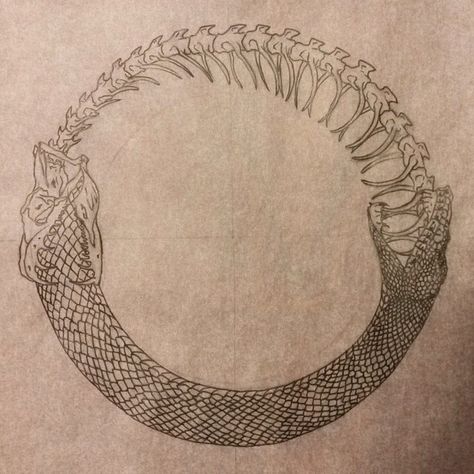 Orobourous Tattoo, Oroboros Tattoo Design, Ouroboros Tattoo Men, Oubororos Tattoo, Oroborus Tattoo Design Snake, Ouroboros Snake Tattoo, Oroborus Tattoo Design Minimal, Oroborous Snake Tattoo, Snake Oroboros Tattoo