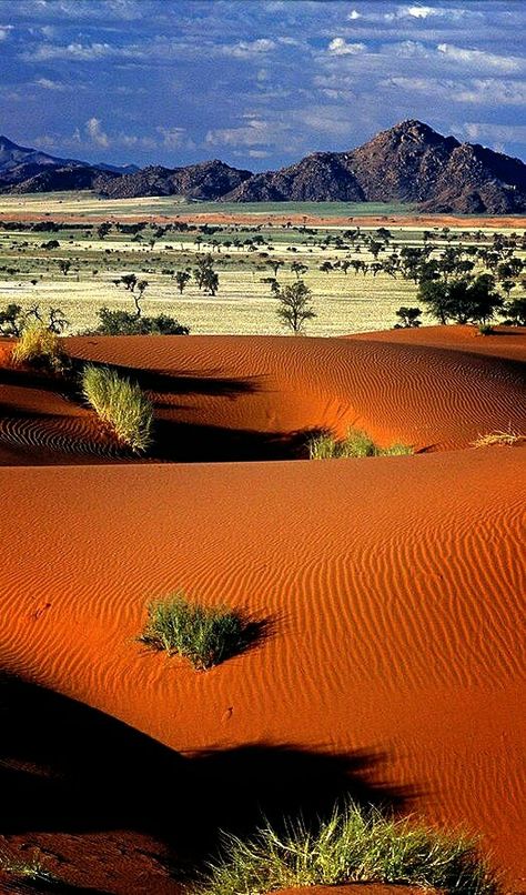 Kalahari desert Africa Deserts Of The World, Namib Desert, Desert Life, Have Inspiration, Desert Landscaping, Sand Dunes, Landscape Photos, The Desert, Amazing Nature