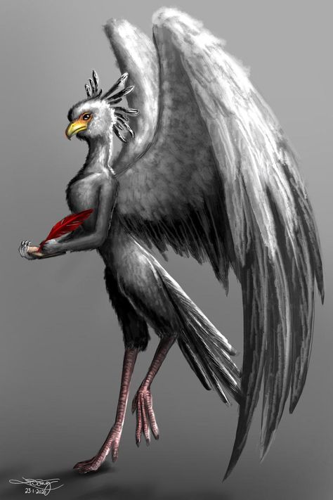 Aarakocra Dnd Female, Aarakocra Female, Secretary Bird Oc, Aarakocra Secretary Bird, D&d Aarakocra, Bird People, Roleplay Characters, Female Character Design, Anime Poses Reference