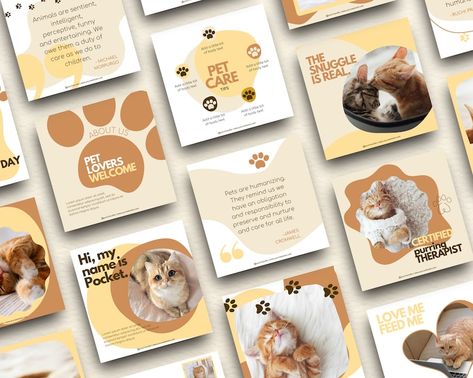 Buy Pet Instagram Templates Canva Pet Canva Templates Pet Online in India - Etsy Dog Instagram Feed, Pet Instagram, Dog Template, Pet Branding, Cat Instagram, Social Media Branding Design, Instagram Theme Feed, Instagram Template Design, Modern Pet