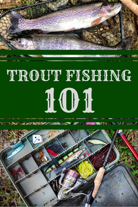 Fishing With Kids, Golden Trout, Trout Fishing Lures, Fishing Clothes, Rainbow Trout Fishing, Fishing Basics, Fish Nature, Trout Fishing Tips, Fishing 101