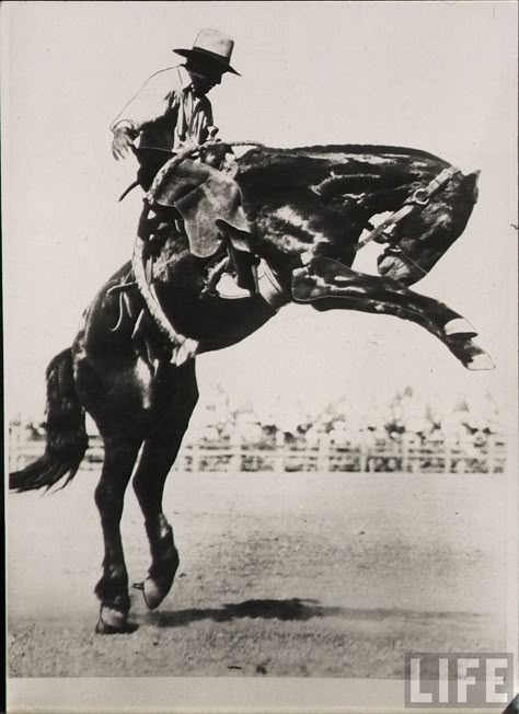 Old Cowboy Photos, Open Sinuses, Western Pics, Sun Printing, Cowboy Photography, Rodeo Cowboys, Cowboy Romance, Cowboy Aesthetic, Cowboy Horse