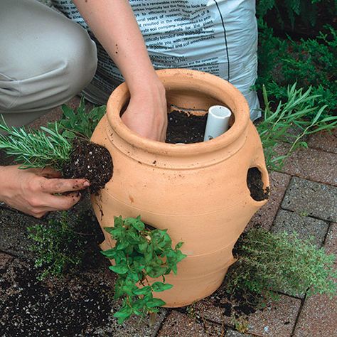 Strawberry Pot, Growing Raspberries, Strawberry Pots, Container Herb Garden, Strawberry Planters, Herb Containers, Growing Strawberries, Strawberry Plants, Fine Gardening