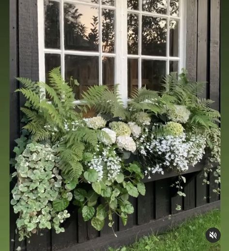 Hydrangea Aesthetic, Hillside Pool, Greens Garden, Garden River, Pool Bed, Conservatory Greenhouse, Lawn Landscape, Small Yards, Covered Patios