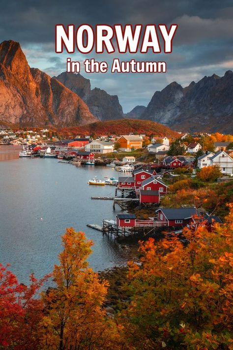 Autumn colours in Norway fall. Fall In Norway, Norway In October, Norway Travel Aesthetic, Norway October, Norway Autumn, Norway Honeymoon, Autumn In Europe, Norwegian Lifestyle, October Travel