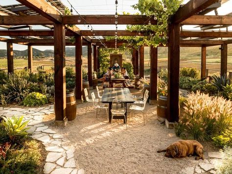 Outdoor Restrooms, Front Yard Inspiration, Wineries Architecture, Vineyard House, Yard Inspiration, Winery Tasting Room, Wine Vineyards, California Modern, Cob House