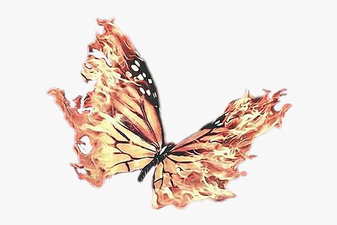 Butterfly Wing Tattoo, Fire Wings, Wing Tattoo, Fire Tattoo, Butterfly Drawing, Wings Tattoo, Design Concepts, Outdoor Halloween, Halloween Outdoor Decorations