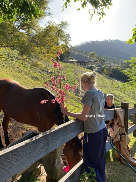 Emma Neilsen (@emma.neilsen333)’s video of Dream House | TikTok Emma Neilsen, Date Activities, Sea To Shining Sea, Cute Horses, Joy Of Life, Horse Life, Dream Lifestyle, The Grove, Summer Feeling