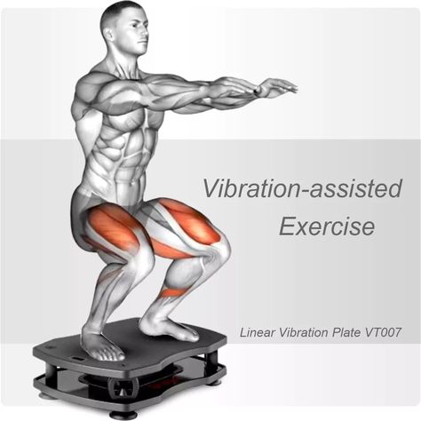 Vibration Exercise Guide [7 Practical & Effective Poses] Plate Exercises, Vibration Plate Exercises, Lunge Workout, Upper Back Muscles, Isometric Exercises, Whole Body Vibration, Muscle Stretches, Lower Body Muscles, Vibration Plate