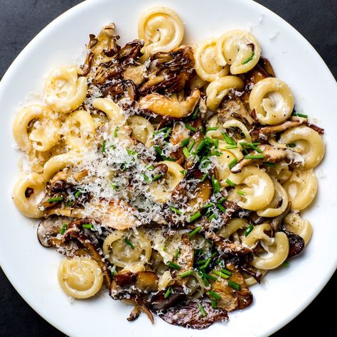 A Creamy Mushroom Pasta for When Nothing Else Will Do - Bon Appétit Best Mushroom Recipe, Resep Pasta, Creamy Mushroom Pasta, Vegetarian Pasta Recipes, Best Pasta Recipes, Mushroom Pasta, Vegetarian Pasta, Creamy Mushrooms, Creamy Pasta