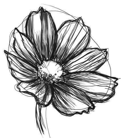 Detailed Flowers Drawings, Flowers Pen Drawing, Daisy Sketch Simple, How To Draw A Daisy, Daisy Reference, Daisies Sketch, Flower Sketches Simple, Pen Flower Drawing, Daisies Drawing