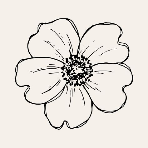 2d Flower Drawing, Simple Floral Drawing Ideas, Flower Drawing Template, Singular Flower Drawing, Large Flower Drawing, Flowers Outline Design, Floral Line Drawing Simple, Outlines Of Flowers, Flower Lineart Simple