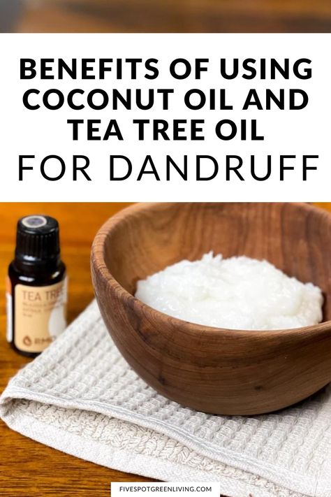 Coconut Oil and Tea Tree Oil for Dandruff Tea Tree Oil For Hair Dandruff, Tea Tree Oil For Dandruff, Essential Oils For Dandruff, Natural Remedies For Dandruff, Coconut Oil For Dandruff, Tea Tree Oil Hair, Natural Dandruff Remedy, Tea Tree Oil Uses, Oils For Dandruff