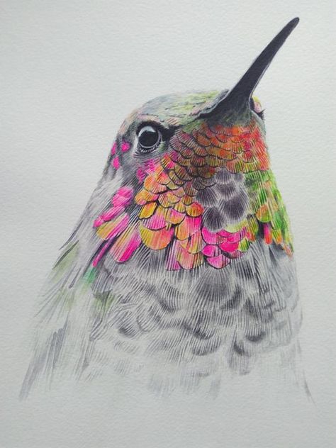 Abstract Hummingbird, Drawing A Hummingbird, Abstract Hummingbird Painting, Hummingbird Art Painting, Hummingbirds Art, Watercolor Hummingbirds, Bird Art Painting, Hummingbird Paintings, Humming Bird