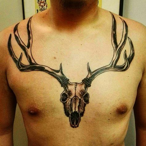 Skull Chest Tattoo, Elk Skull, Next Tattoo, Chest Tattoo, Tattoo Idea, Skull Tattoo, Elk, Tattoos