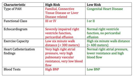 Pulmonary Arterial Hypertension Life Expectancy & Survival Rates Pulmonary Arterial Hypertension, Heart Catheterization, Atrial Septal Defect, Pulmonary Function Test, Pericardial Effusion, Cold Or Allergies, Lung Transplant, Congenital Heart, Lung Disease