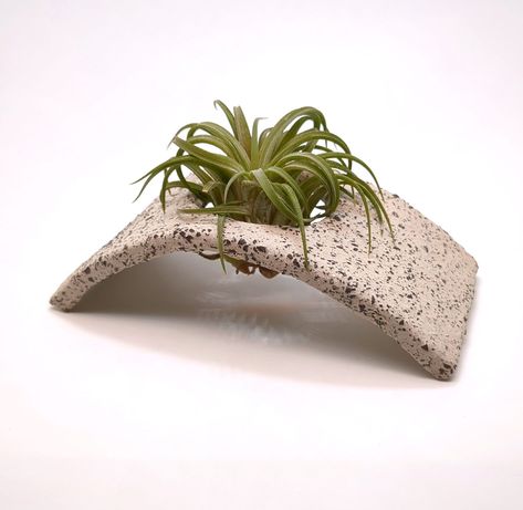 Air Plant Hanger, Planter Indoor, Air Plant Display, Support Plante, Plant Display, Gardening Gift, Hand Built Pottery, Air Plant Holder, Indoor Gardening