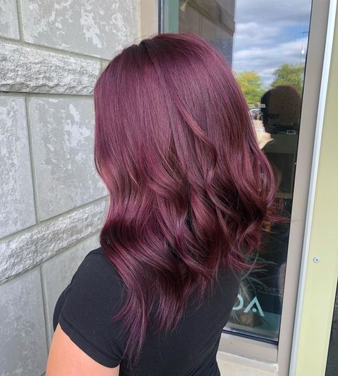 Soft Delicate Burgundy Hair Color Maroon Hair Burgundy Wine, Dark Magenta Hair Burgundy, Dark Red Hair Color Burgundy Purple Fall, Mulberry Hair Color, Burgundy Hair Plum Purple, Burgundy Hair Color, Dark Purple Red Hair Burgundy, Purple Burgundy Hair, Bright Burgandy Hair