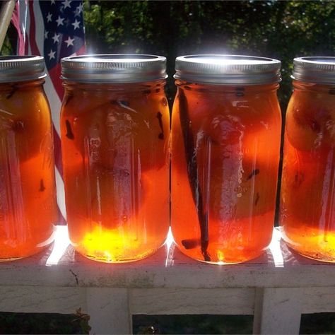 Pickled Peaches | "Very yummy! This reminds me of my mother, she always loved peaches and found ways to use them, picked peaches were her favorite!" Pickled Peaches, Pickled Okra, Cucumber Sandwiches, Relish Trays, Pint Jars, Home Canning, Peach Recipe, Pickling Recipes, Jams & Jellies