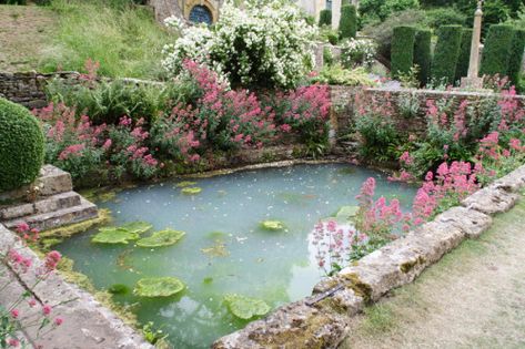 A Pond, Nature Aesthetic, Pretty Places, Dream Garden, Water Features, Secret Garden, In The Middle, Fairy Garden, Mother Nature