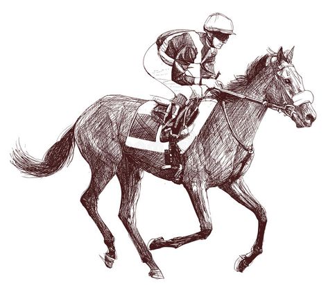 White Pen, Horse Drawings, Vector Portrait, Stock Photography Free, Free Vector Art, Kentucky Derby, Horse Racing, Royalty Free Images, Poppies