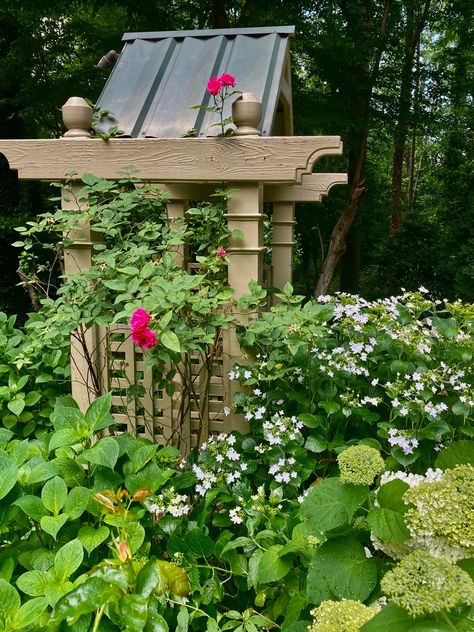 Carol Ann’s South Carolina Garden - FineGardening Garden Supports, Propagating Hydrangeas, Hydrangea Arborescens Annabelle, Lace Cap Hydrangea, Fine Gardening Magazine, Hydrangea Arborescens, Carol Ann, Greenville South Carolina, Hydrangea Macrophylla