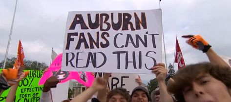 Game Day Signs, College Gameday Signs, Hilarious Signs, College Gameday, Homecoming Ideas, College Game Days, Large Numbers, Sign Ideas, We're Back