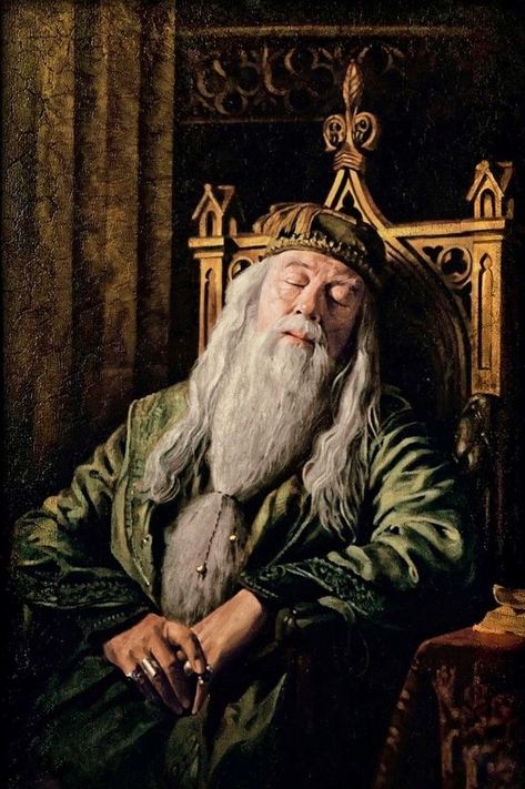 Fanart Harry Potter, Harry Potter Bathroom, Harry Potter Portraits, Harry Potter Christmas Decorations, Harry Potter Dumbledore, Imprimibles Harry Potter, Harry Potter Wall, Harry Potter Background, Harry Potter Poster