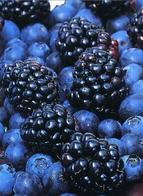 Blue Berries, Blue Photography, Blue Fruits, Izu, Feeling Blue, Fruit And Veg, Something Blue, Coffee Cake, Fruits And Veggies