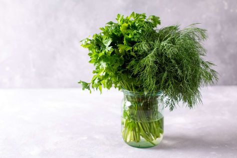 How To Store Cilantro Best Way To Store Cilantro, Storing Cilantro, Store Cilantro, Freezing Cilantro, Rv Food, Cold Water Bath, Fridge And Freezer, Salad Spinner, Freezer Bags